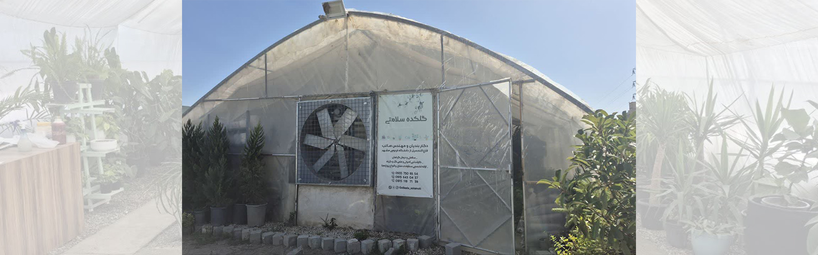 لامپ رشد گیاه
