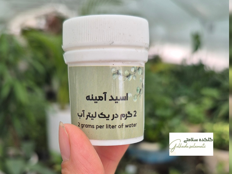 خاک هلندی سلامتی
